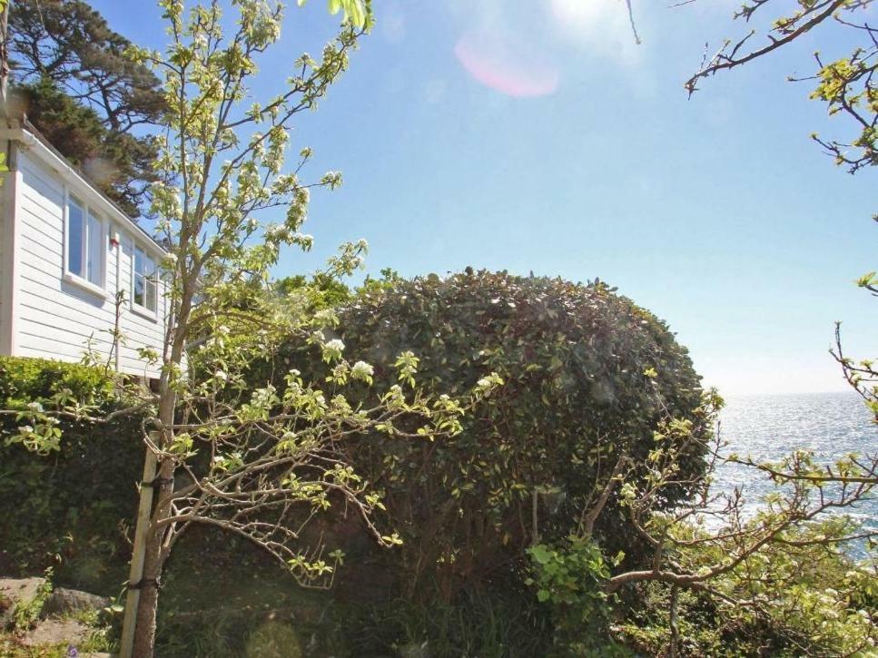 Studio Villa Polperro Bagian luar foto